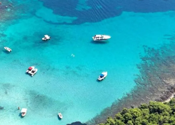 Royale With Shared Pool * هفار